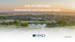 Lethbridge CIDS 2025 Final Report